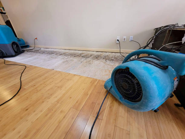 Professional Water Removal technician working in Port Orange, FL